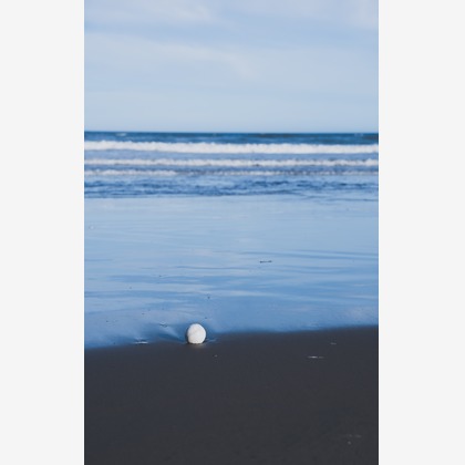 いんかが撮影したその他の写真