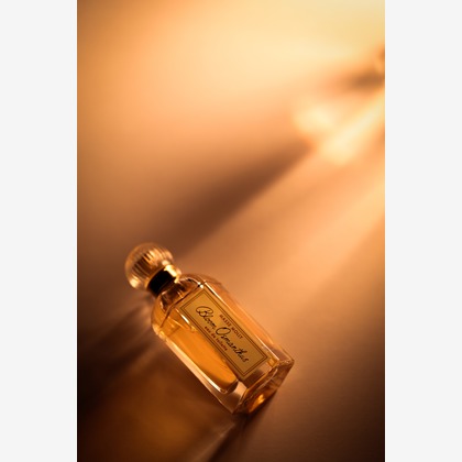 冨島　敬宏が撮影した「:albumName」の写真