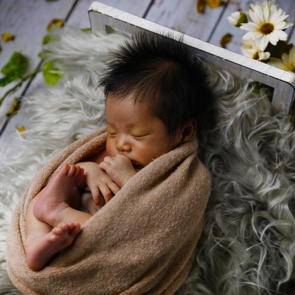 Orihusta photographyが撮影した料理撮影の写真