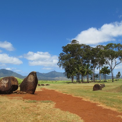 マイクロコズム合同会社が撮影した「:albumName」の写真