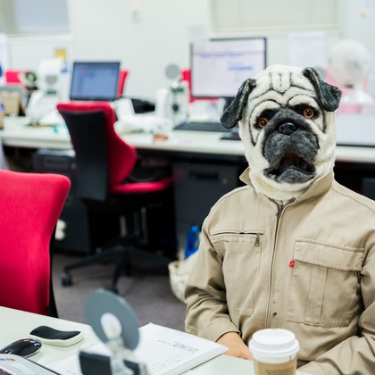 MAKOTO TOCHIKUBOが撮影したウェディングや家族、ビジネスの写真