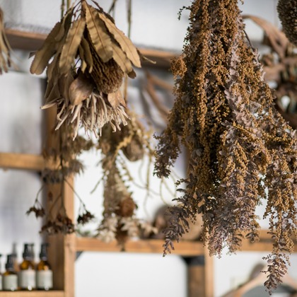 德永三千代が撮影した「ショップ・サロン」の写真