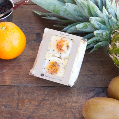 樋上　将太が撮影した「:albumName」の写真