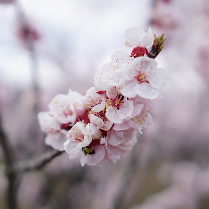 出張撮影のメモリーズが撮影した「:albumName」の写真