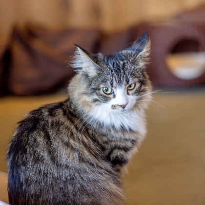 沖山俊樹が撮影した「:albumName」の写真