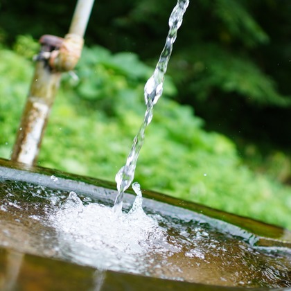 細部　歩が撮影したウェディングや家族、ビジネスの写真