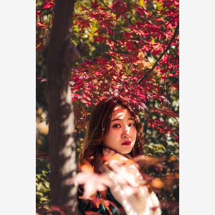 内藤駿介が撮影した「:albumName」の写真