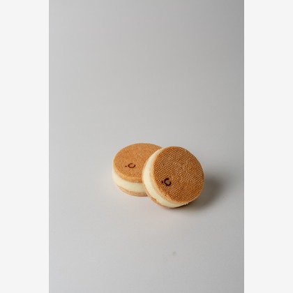 studio aluc ~スタジオ アルク~が撮影した「:albumName」の写真