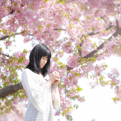 樋上孝典が撮影した「:albumName」の写真