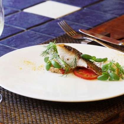 森安　照が撮影した「:albumName」の写真