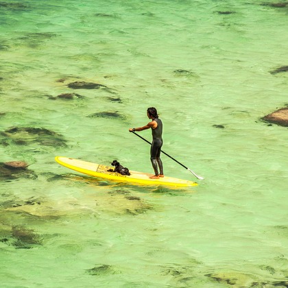 有光こうじ写真事務所が撮影した「:albumName」の写真