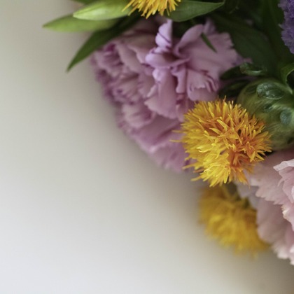 ミヤタカズコが撮影した「:albumName」の写真