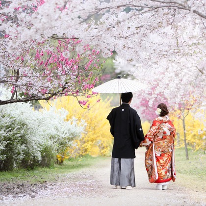 KIKIウェディングが撮影した「:albumName」の写真