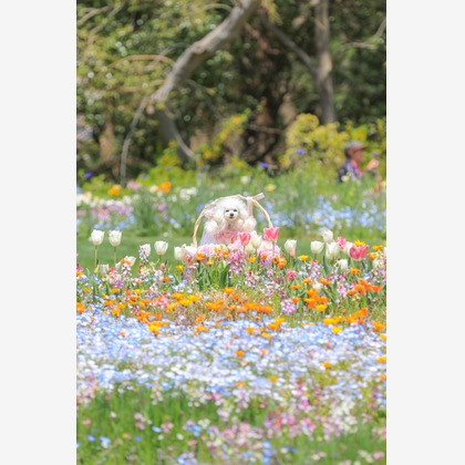 高橋 透（Coo&Sea STUDIO代表）が出張撮影した「大花壇de撮影会／春＠横浜」の家族写真