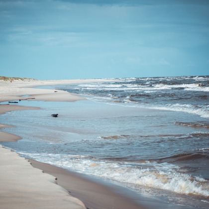 Jacek Cichopekが撮影した「:albumName」の写真