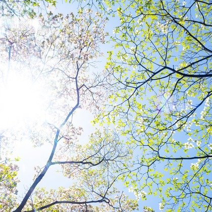 kiharu&photoが撮影した「:albumName」の写真