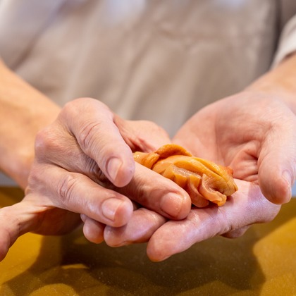 LUCE PHOTO WORKSが撮影したウェディングや家族、ビジネスの写真