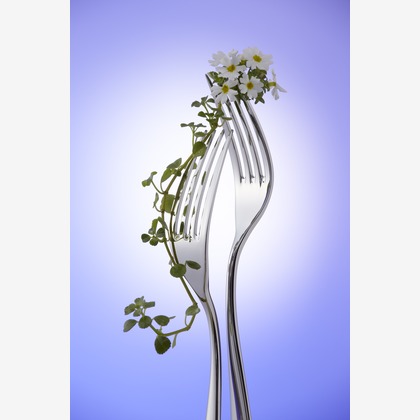 株式会社スタジオカールが撮影した「:albumName」の写真