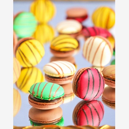 世登理恵が撮影したその他の写真