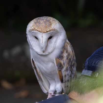 沖山俊樹が撮影したその他の写真