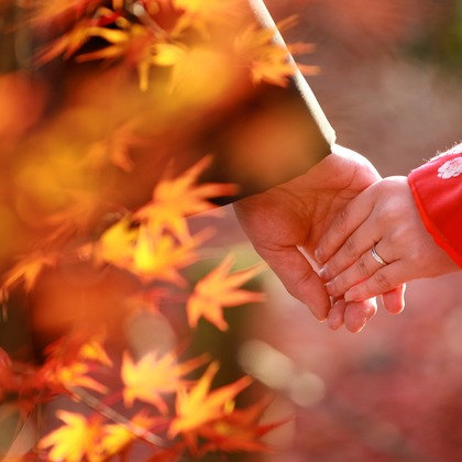 Photo of :albumName taken by Hayashi Photo Works