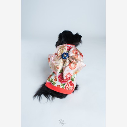 Ray Yamaguchiが撮影した「:albumName」の写真