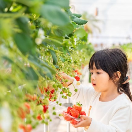 maimaiCameraが撮影した「:albumName」の写真