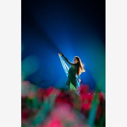 早川 陸が撮影したその他の写真