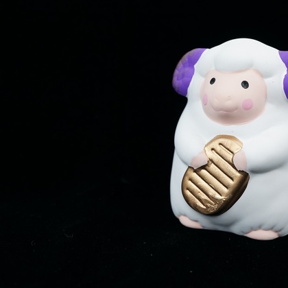 出張撮影のメモリーズが撮影した「商品撮影（アラカルト）」の写真