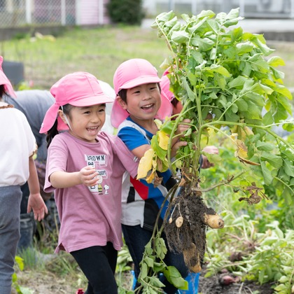 佐野将人が撮影した「:albumName」の写真