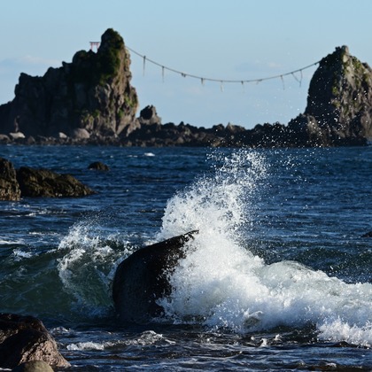 あまかど スタジオが撮影したその他の写真