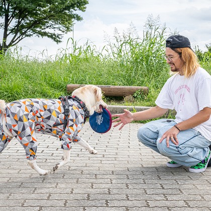 吉田佳央が撮影した「:albumName」の写真