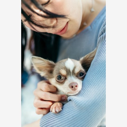 ポートレート沖縄が撮影した「:albumName」の写真