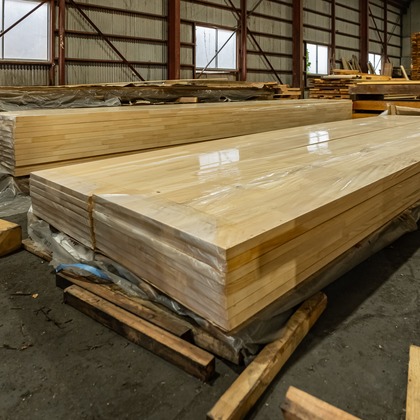 武内ピクチャーズが撮影したウェディングや家族、ビジネスの写真