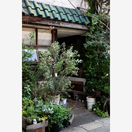 studio aluc ~スタジオ アルク~が撮影した「:albumName」の写真