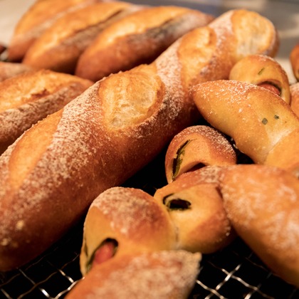 光画堂スタジオが撮影したウェディングや家族、ビジネスの写真