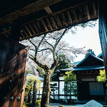 kiharu&photoが撮影した「:albumName」の写真