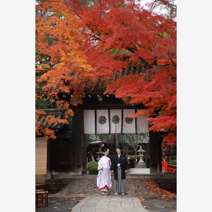 Photo of :albumName taken by Hayashi Photo Works