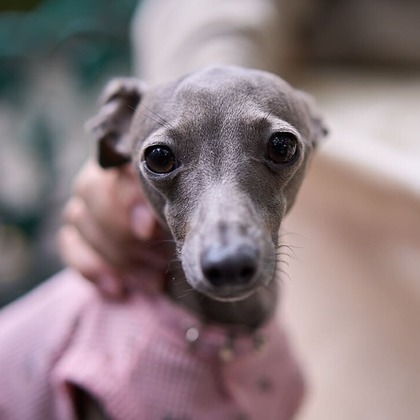 Actが撮影した「:albumName」の写真