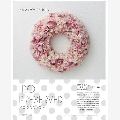 有限会社　澤田スタジオが撮影した「:albumName」の写真