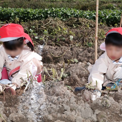 スタジオ耕平が撮影した「:albumName」の写真