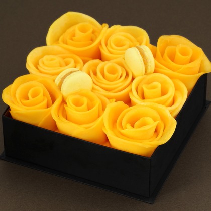 森安　照が撮影した「:albumName」の写真