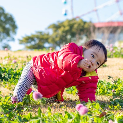 Smile photo misakeが撮影した「:albumName」の写真