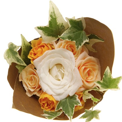 有限会社　澤田スタジオが撮影した「:albumName」の写真