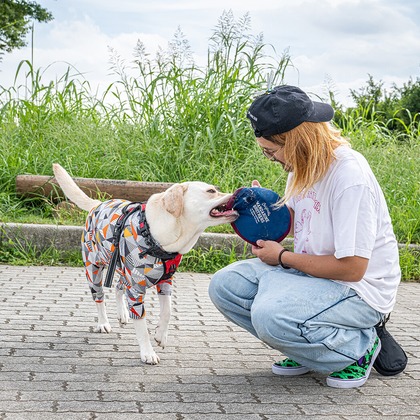 吉田佳央が撮影した「:albumName」の写真