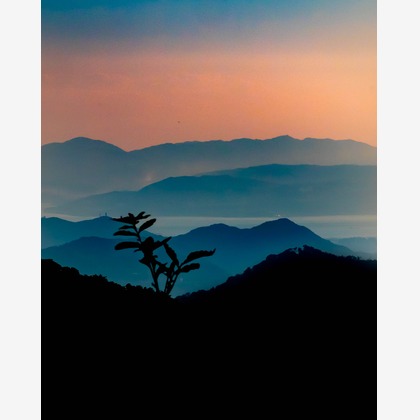 ハイナ　マテウスが撮影した「:albumName」の写真