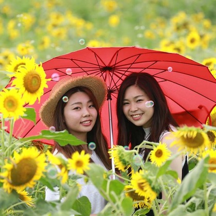 理 S PHOTOが撮影した「:albumName」の写真