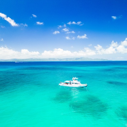 NocapVPGが撮影した「48％」の写真