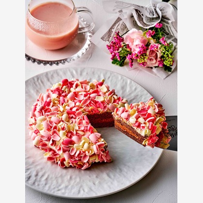 YEBISU PHOTOが撮影した「:albumName」の写真