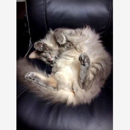 Efu's photographyが撮影した「:albumName」の写真